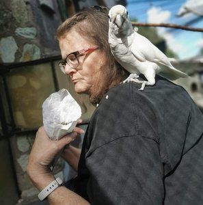 Meet your Posher, Susan